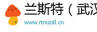 兰斯特（武汉）自动化系统工程有限公司